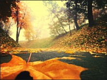 Autumn's Coming / Нет описания