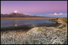 Парк Сахама ( Боливия) / На высокогорном Альтиплано Боливии, до восхода солнца или сразу после заката, часто возникает эффект *Зари*, когда небо раскрашивается в ярко-розовые и синие полосы...Из поездки в ноябре 2013 года,