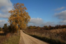 по дороге на Опочинское / ***