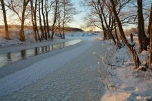 Морозное утро / 25.01.2014