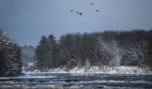 cold air under the wing / cold air under the wing