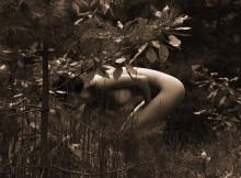 Лесная нимфа / ***