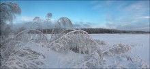 В три погибели. / Лосиный остров.