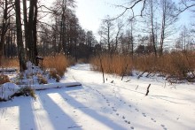 Зимний Стоход / Волынь