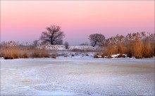 Дуб. / Утро,мороз озеро, дуб.

После восхода солнца.
[img]http://i053.radikal.ru/1402/25/94c6e4b44ad2.jpg[/img]