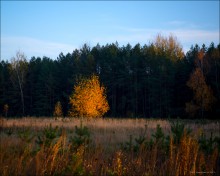 Осенняя свеча. / Осень, вечер