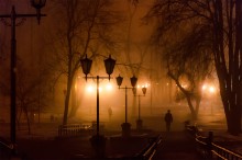 утро в городском парке / февраль 2014. густой туман. утро в центральном парке Гродно