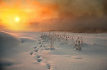  / Карелия