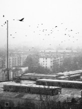 Вчерашний снег / На самом деле позавчерашний, конечно