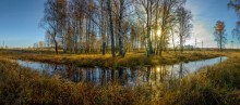 Улыбка Природы / Утро в подмосковье.Осень.2013
