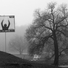 Такое дерево или Армин в тумане / Сергею Козлову посвящается