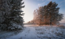 В лучах декабрьского солнца... / Сибирь, Иркутская обл.