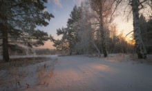 Тёплым зимним вечером... / лес,декабрь...