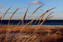 океан / Atlantic Ocean