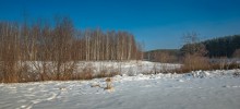 Мартовское солнце / +++