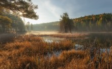 Солнечным утром... / утро, озеро