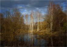 Апрель. / Весна, вечер, березы