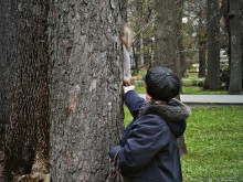 Гомельский парк / Парк