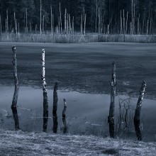 Последний лёд / Саврасово