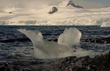 Природа развлекается... / Из серии &quot;Антарктика&quot;