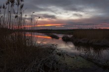 Трясина / р. Волчья Донецкой обл.