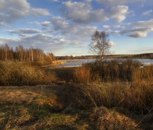 Пока не распустился лист / В вечернем свете