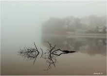 безмолвие / ***