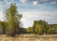 Весенний вечер / Весна в подмосковье