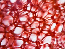 &nbsp; / губка для мытья посуды