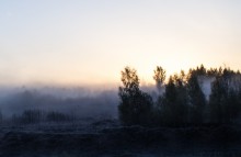 Лес утопающий в тумане / утренний туман и заморозки