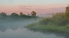 Утро в тумане / Рассвет над Лесной