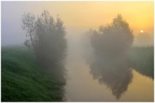 A summer morning / A foggy summer morning in my region.
