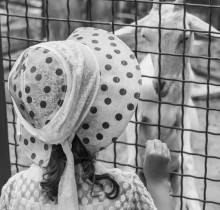 &nbsp; / ------------------------