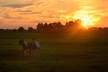 Sunset in Noordschote. / Noordschote is a small village in Flanders.