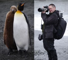 фотограф / Южная Георгия