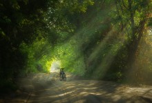 велоутро / про заблудившийся велосипед)