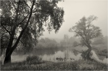 Туман в оттенках серого / Рассвет у небольшой речки, все в тумане.