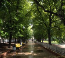 После дождя / Патриаршие пруды, Москва