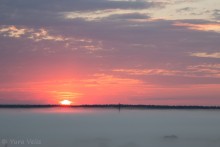 Утро...туманное... / Рассвет над р.Березина