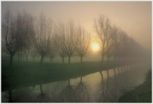 Mysterious morning. / A foggy morning in my region.