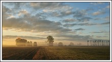 A summer morning. / The beginning of a beautiful day.