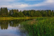 Вечер на Петровском озере. / ***