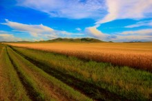 Mongolia Selenge / Mongolia