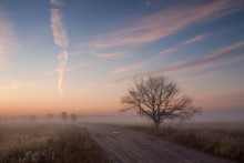 Перед рассветом / авгус