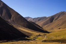 Бархат гор / Жалал-абадская область, Кыргызстан