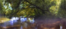 Обнимая нежно реку / Природа Беларуси