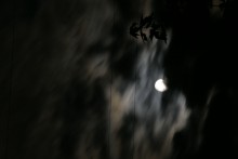 луна / никакого фотошопа