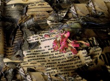 Цветок на могилу прессе / Натюрморт, любовь к мусору, любимые углы