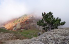 В тумане / Горы Крыма
