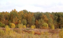 Краски осени / Осенний пейзаж
